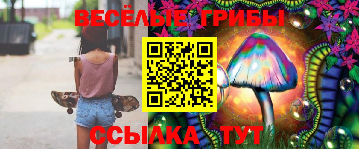 Галлюциногенные грибы Psilocybine cubensis  Псилоцибиновые грибы прущие грибы  Вход с VPN  Кашира 